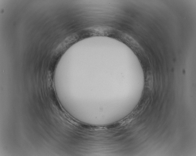 X0000062620318200512210919