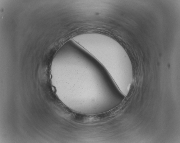 X0000062620319200512210919