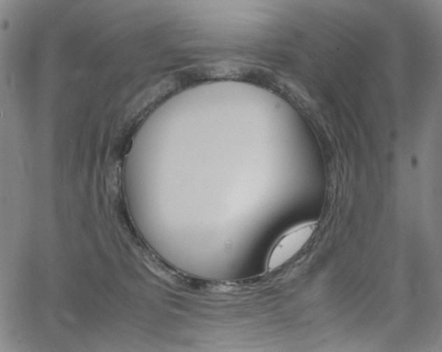 X0000062620325200512210919