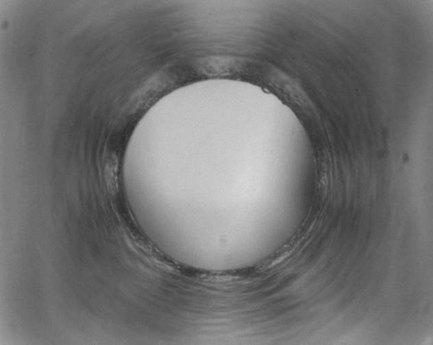 X0000062620332200512210919