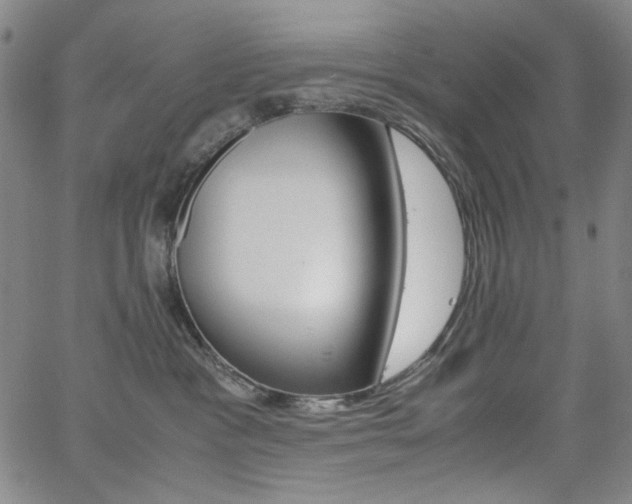 X0000062620333200512210918