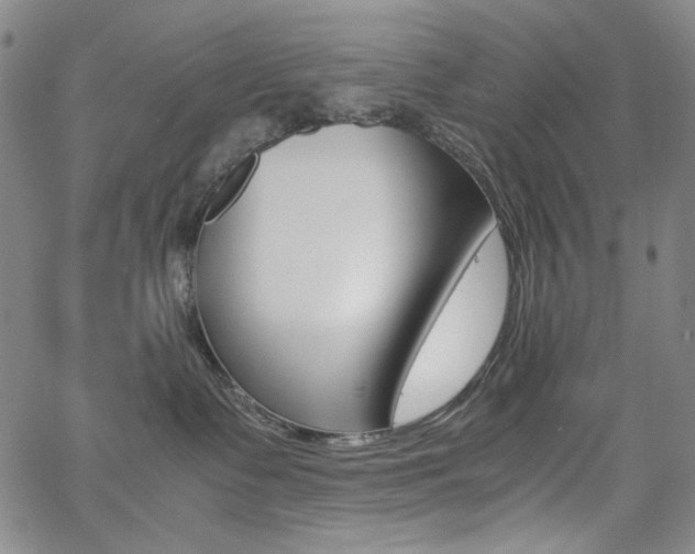 X0000062620335200512210918
