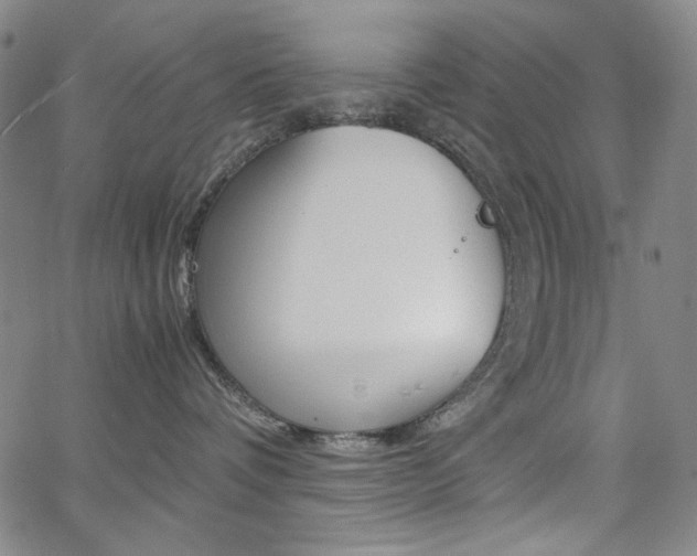 X0000062620336200512210918