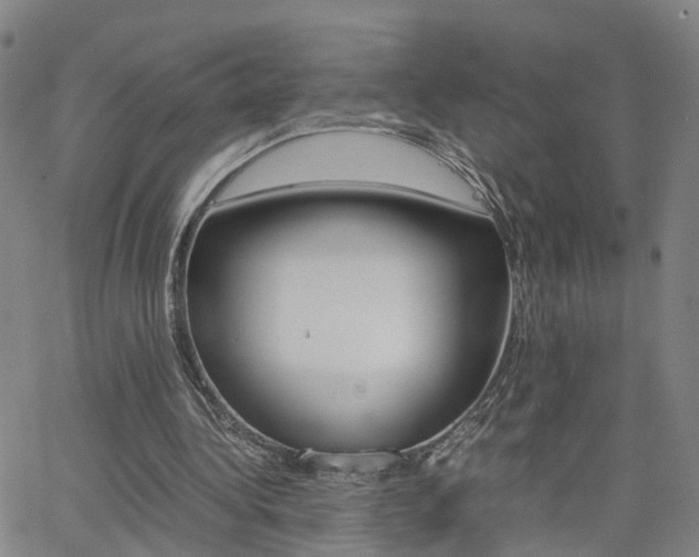 X0000062620340200512210918