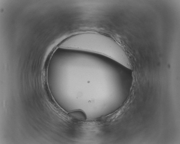 X0000062620342200512210918