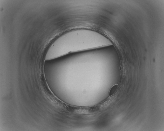 X0000062620354200512210918