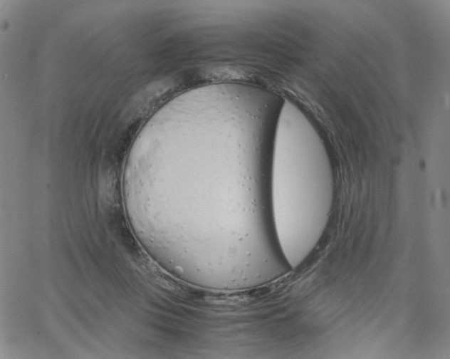 X0000062620359200512210918