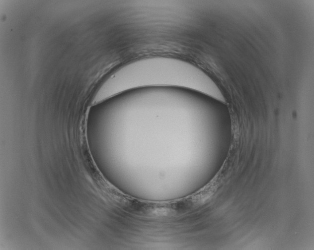 X0000062620360200512210918