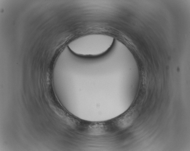 X0000062620362200512210918