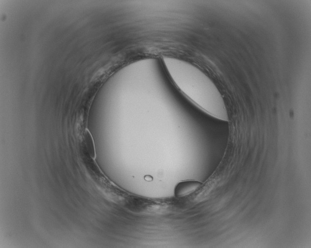 X0000062620364200512210918