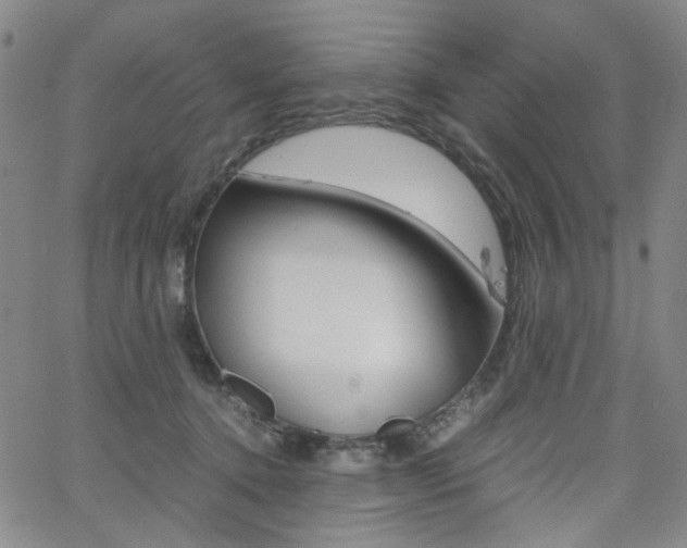 X0000062620368200512210918