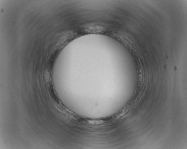 X0000062620371200512210918