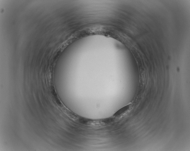 X0000062620372200512210918