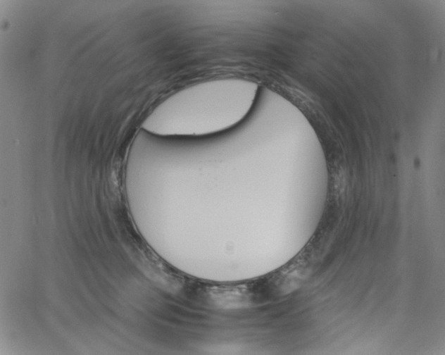 X0000062620373200512210918