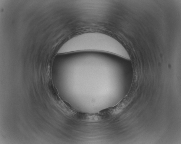 X0000062620376200512210918