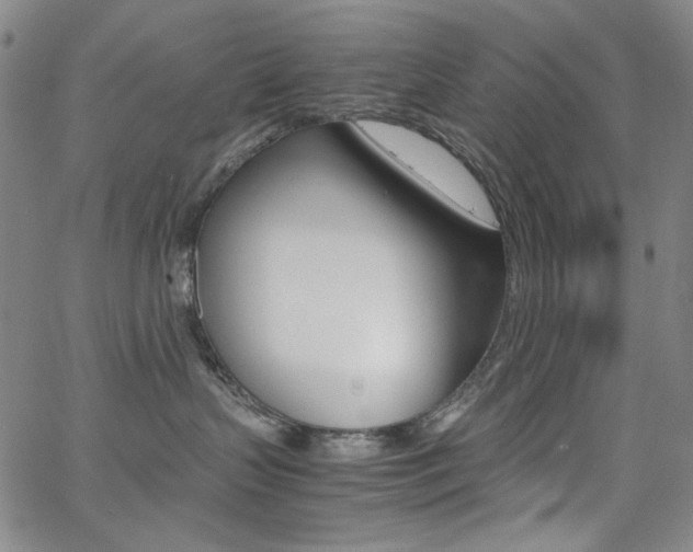 X0000062620383200512210918