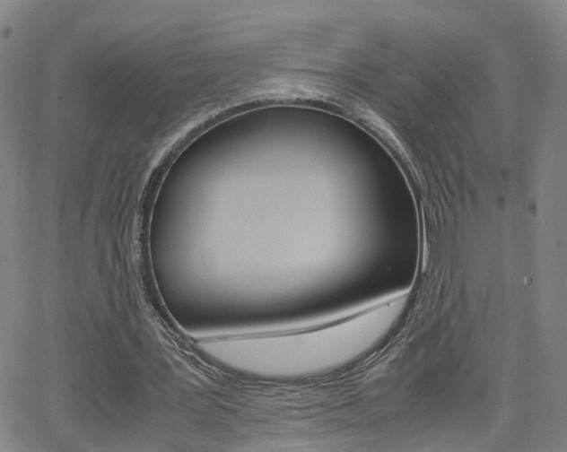 X0000062620387200512210918