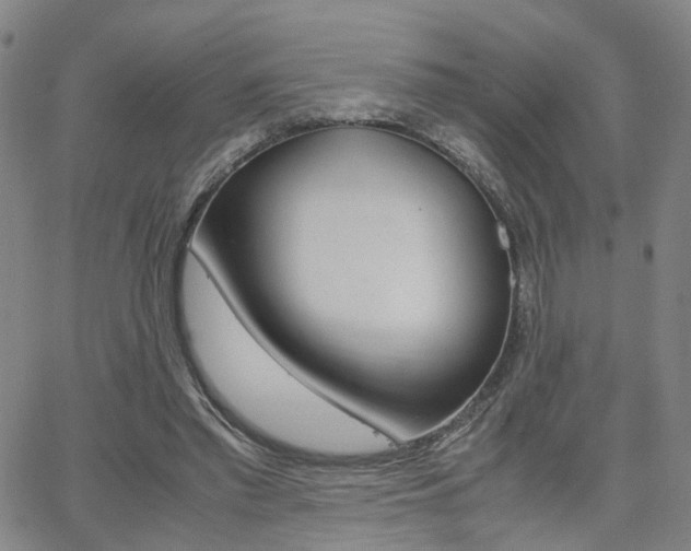 X0000062620397200512210917