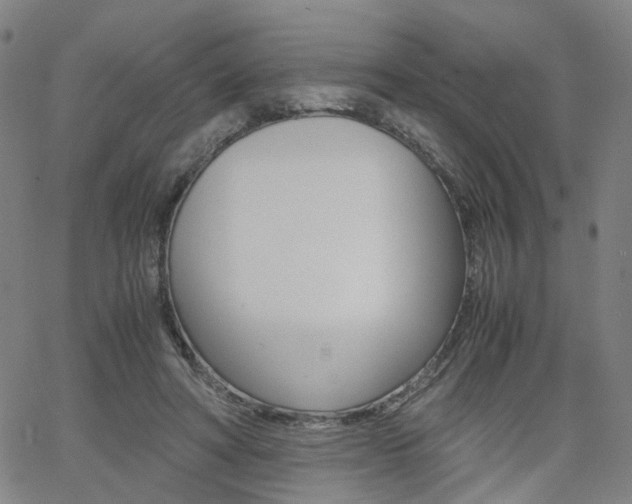 X0000062620402200512210917