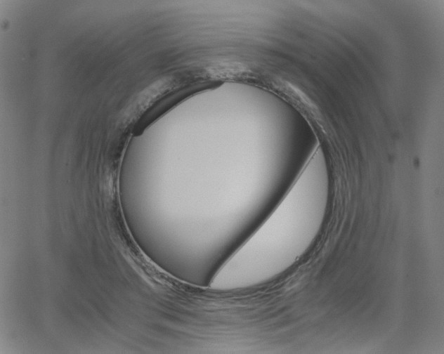 X0000062620405200512210917