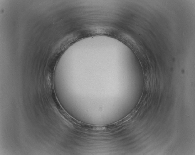 X0000062620410200512210917