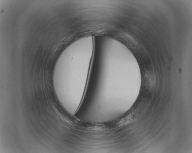 X0000062620412200512210917