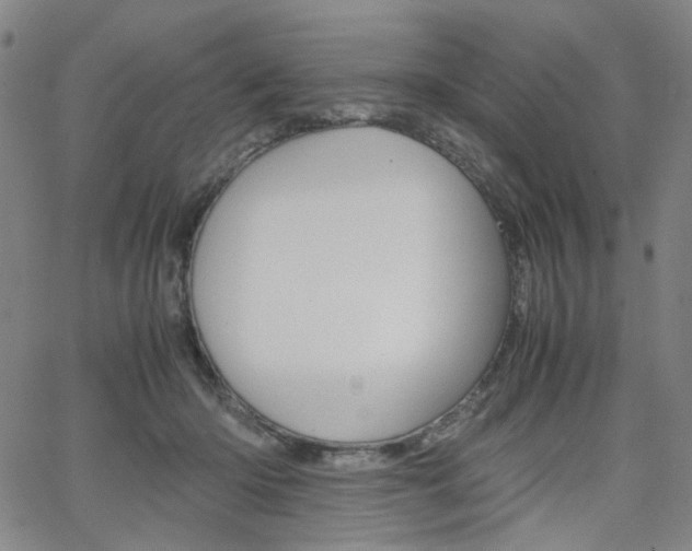 X0000062620414200512210917
