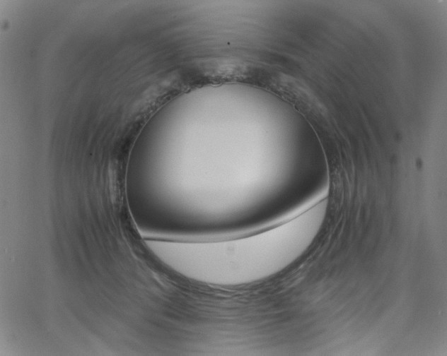 X0000062620416200512210917
