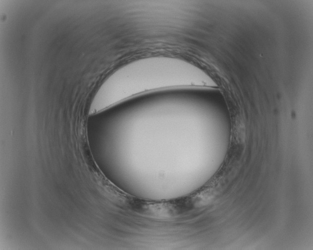 X0000062620417200512210917