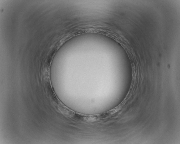 X0000062620419200512210917