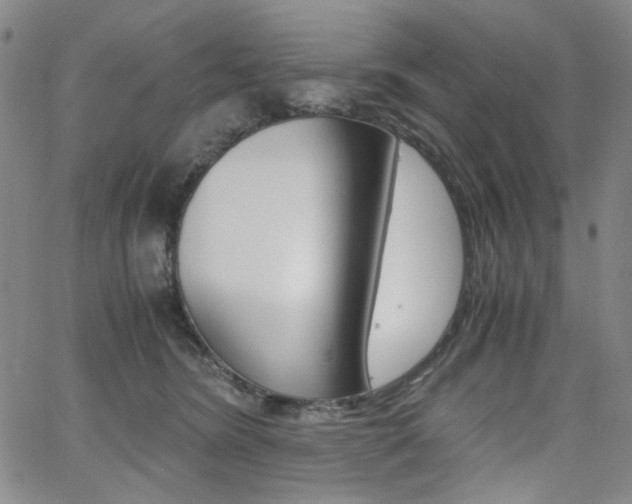 X0000062620420200512210917