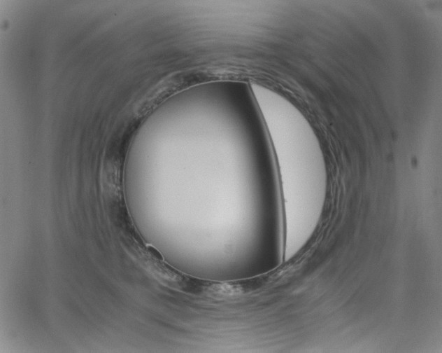 X0000062620421200512210917