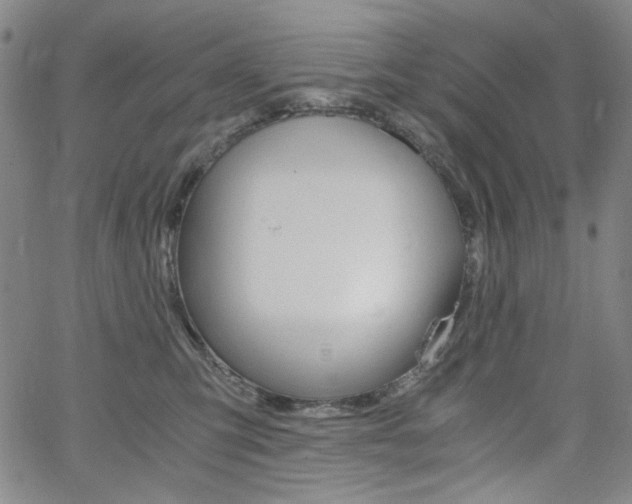X0000062620423200512210917