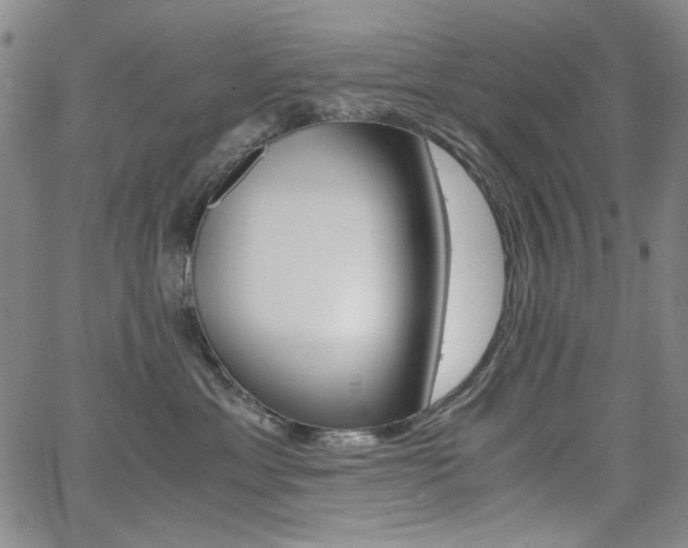 X0000062620429200512210917