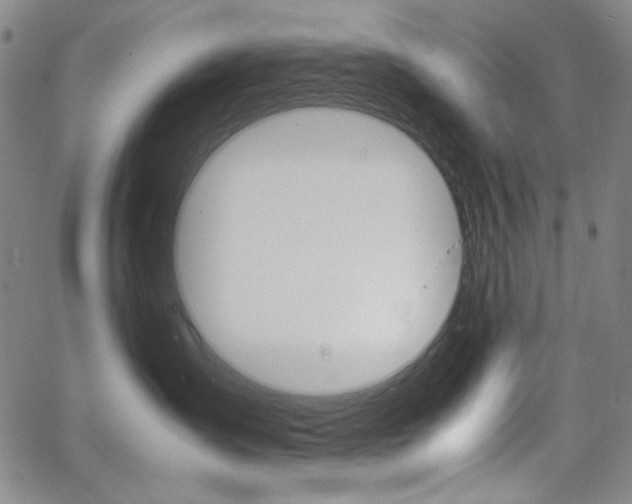 X0000062620431200512210917