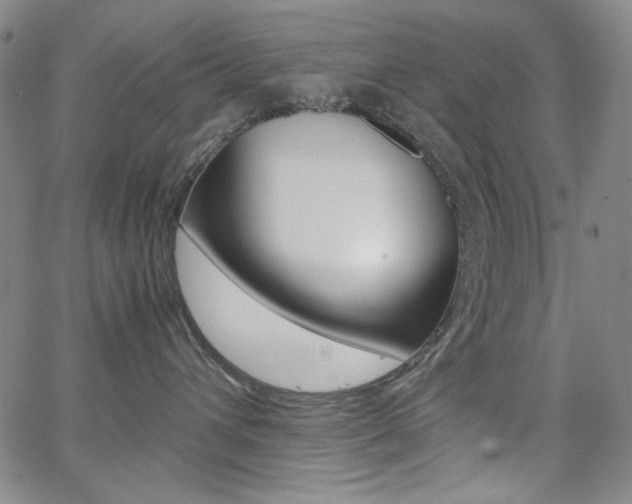 X0000062620432200512210917