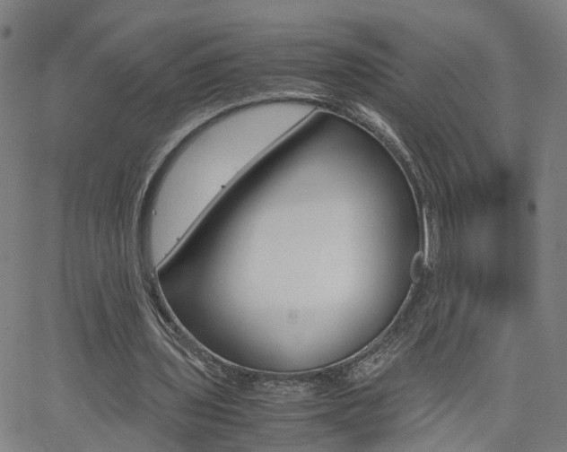 X0000062620435200512210916