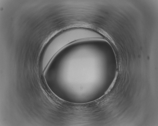 X0000062620436200512210916