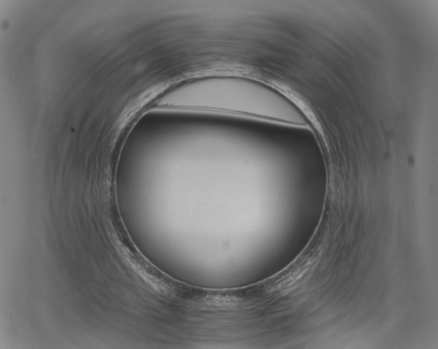 X0000062620437200512210916
