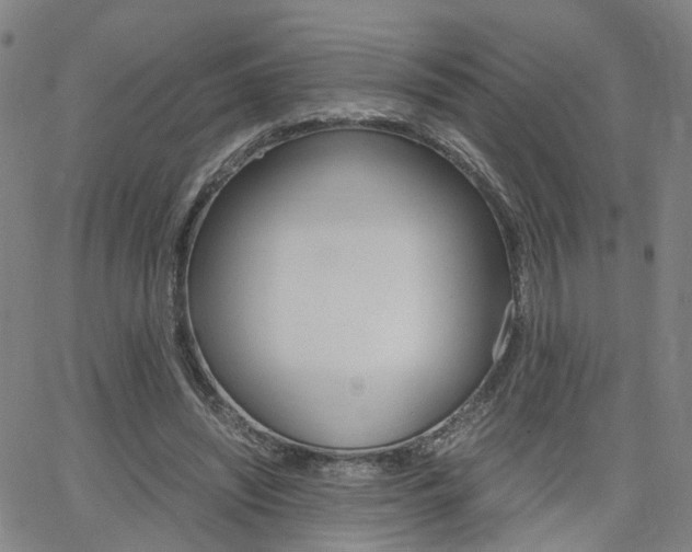 X0000062620444200512210916