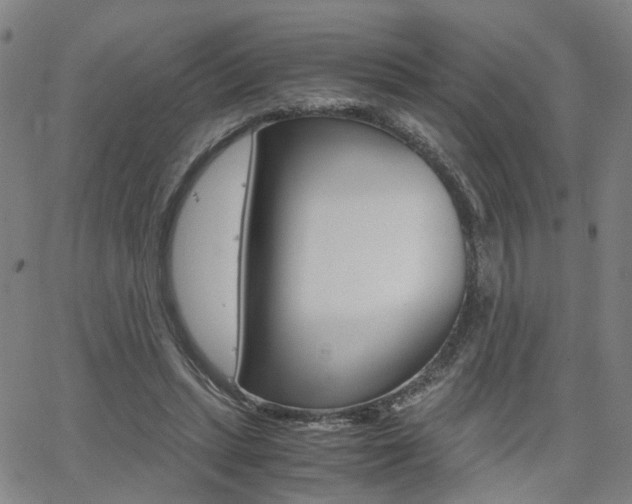 X0000062620447200512210916