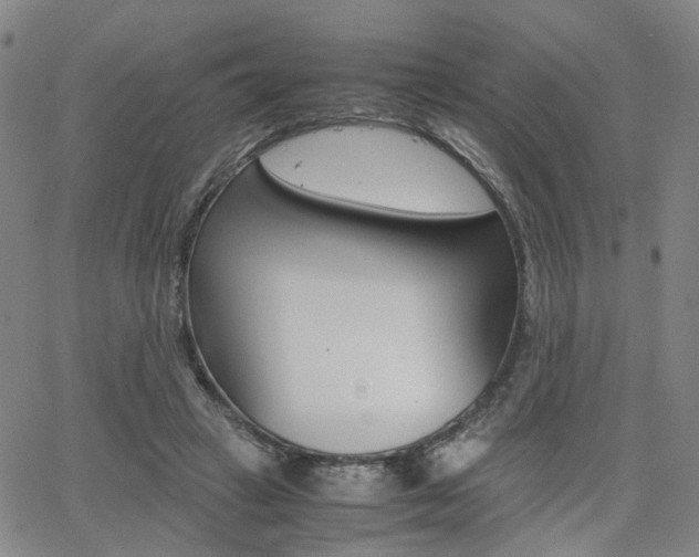 X0000062620449200512210916