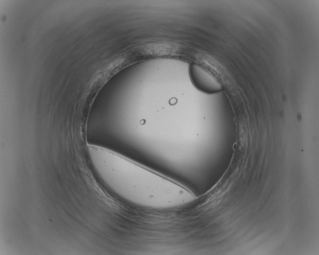 X0000062620453200512210916