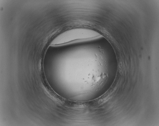 X0000062620454200512210916
