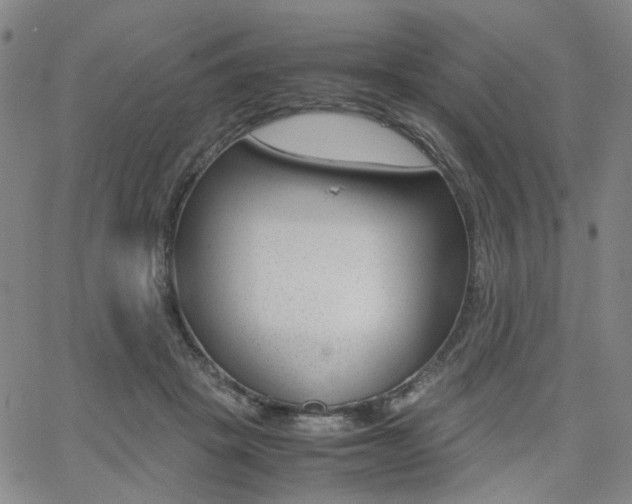 X0000062620457200512210916