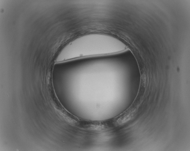 X0000062620458200512210916