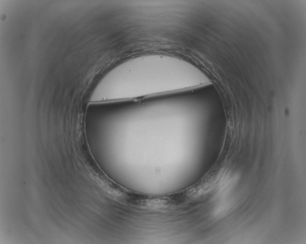 X0000062620462200512210917