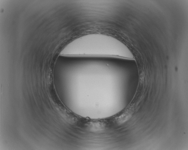 X0000062620464200512210917