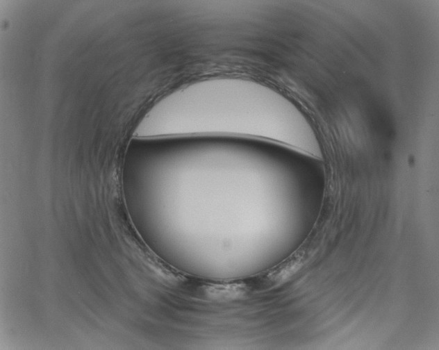 X0000062620465200512210917