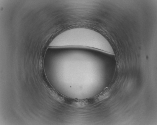 X0000062620466200512210917